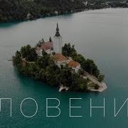 Птушник 2