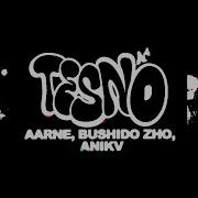 Aarne Bushido Zho Anikv Тесно Gay Remix