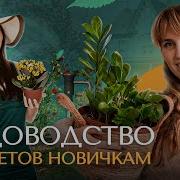 Советы Начинающему Садоводу