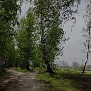 Жигулин О Родина В Неярком Блеске