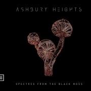 Ashbury Heights Spectres From The Black Moss