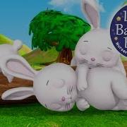 Sleeping Bunnies Hop Hop Hop