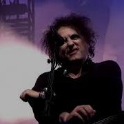 Concert Live The Cure