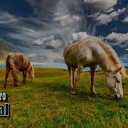 Asher Fulero Pastoral