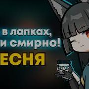 Кофе В Лапках Ушки Смирно