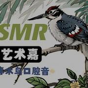 Asmr啄木鸟