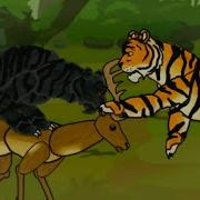 Black Panther Vs Tiger Animation