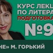 Любовь Гогина Лекция 91