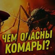 Ученые Против Мифов 23