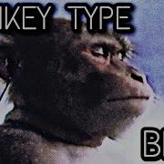 Monkey Beats