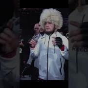 Музыка Хабиб Перед Входом В Актагон
