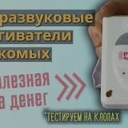 Ультразвук От Клопов