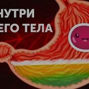 Передачи Для Детей