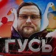 Куплинов Гусь Ремикс Обычный Парень