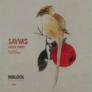 Golden Sunset Flowers On Monday Remix Savvas