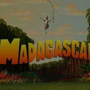 Dream World Madagascar Marty Birthday Alex Surprise Part 1