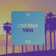 Cisummi Vida Latin Mix