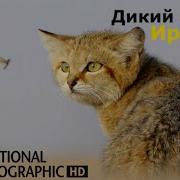 Далёкий Мир