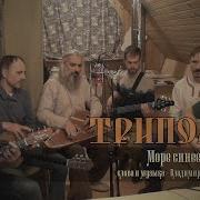 Владимир Борисов Триполье Минус