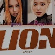 Blackpink Lion Kito