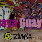 Zumba Zin 60