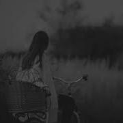 Lazarus Moment Grassy Plains
