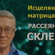 Квантовое Исцеление Рассеянного Склероза