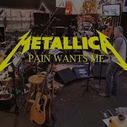 Metallica Pain Wants Me