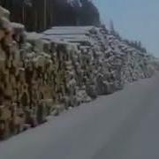 Лес В Китай
