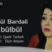 Tergul Berdeli A Bulbul