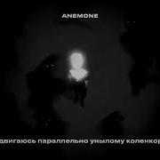 Однополярности Бещ Мата