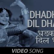 Dhadkan O Dil Dhadka