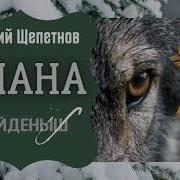 Евгений Щепетнов Диана Книга 2
