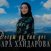 Зара Хайдарова Догуш Ду Са Дог