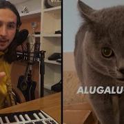 Cat Meow Meme Music
