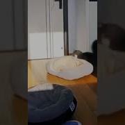 Тик Ток Солнышко