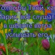 Господи Боже Смири Мое Сердце