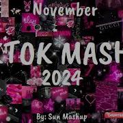 Tiktok 2024