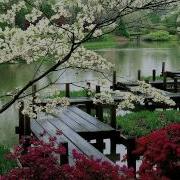 Japanese Garden Music