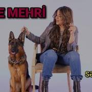 I Rade Mehri 2023