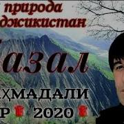 Газал Махмадали Умар