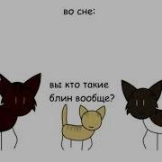 Коты Воители В Двух Словах