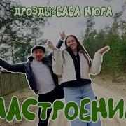 Настроения Нет Дрозды