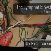 Lymphatic Drainage Massage Pelvic Area Asmr