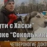 Новости 24 Рен Тв 2012 Начало