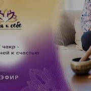 7 Ступеней К Счастью