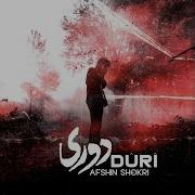 Afshin Shokri Duri