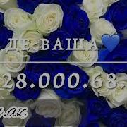 Дал Декъал Войл Хьо Винчу Денца Де Ваша