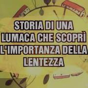 Storia Di Una Lumaca Che Scoprì Limportanza Della Lentezza