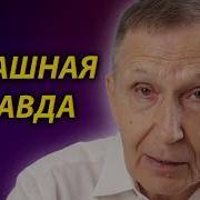 Алексей Шевцов Зачем Система Уничтожает Мужчин